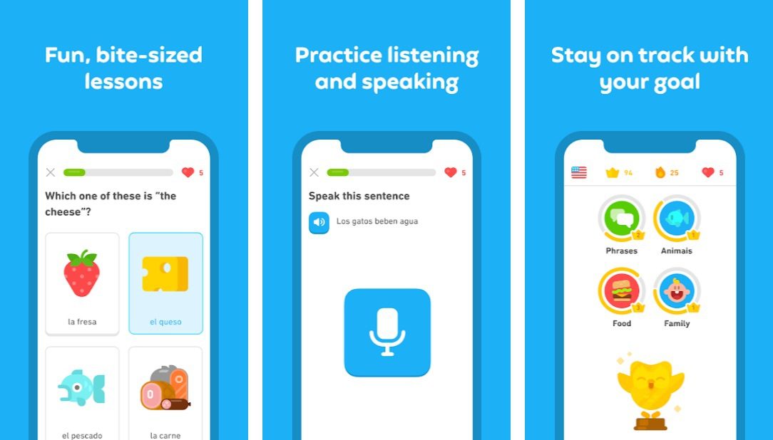 Duolingo Learn Languages App For Android