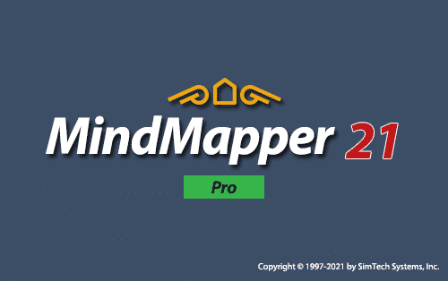 Mindmapper 22 Professional Download