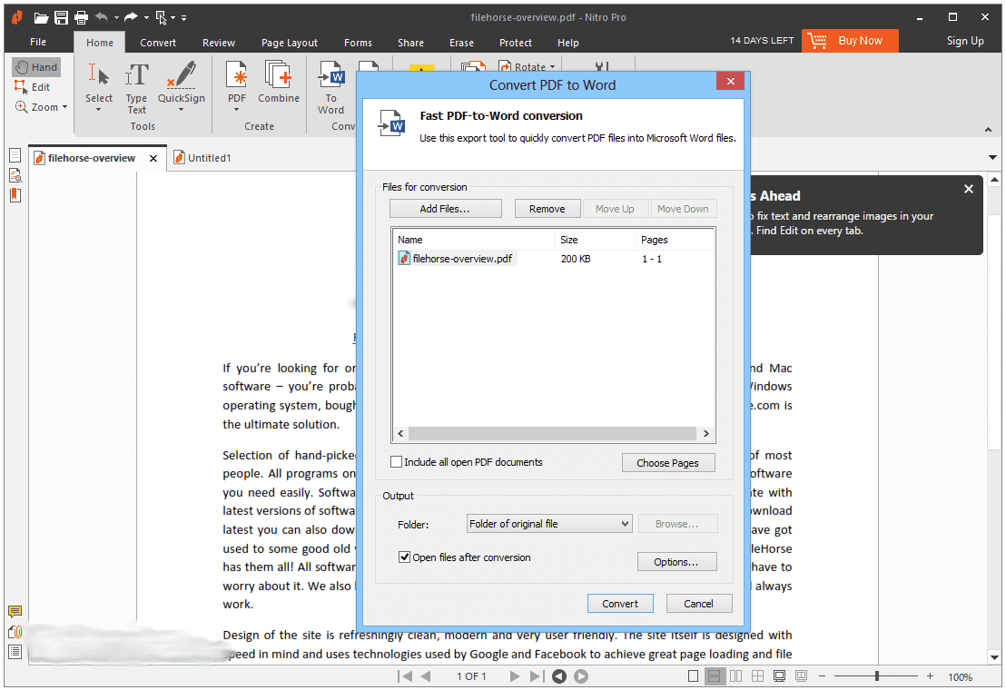 Page View In Word Document Window With Nitro Pdf Pro.