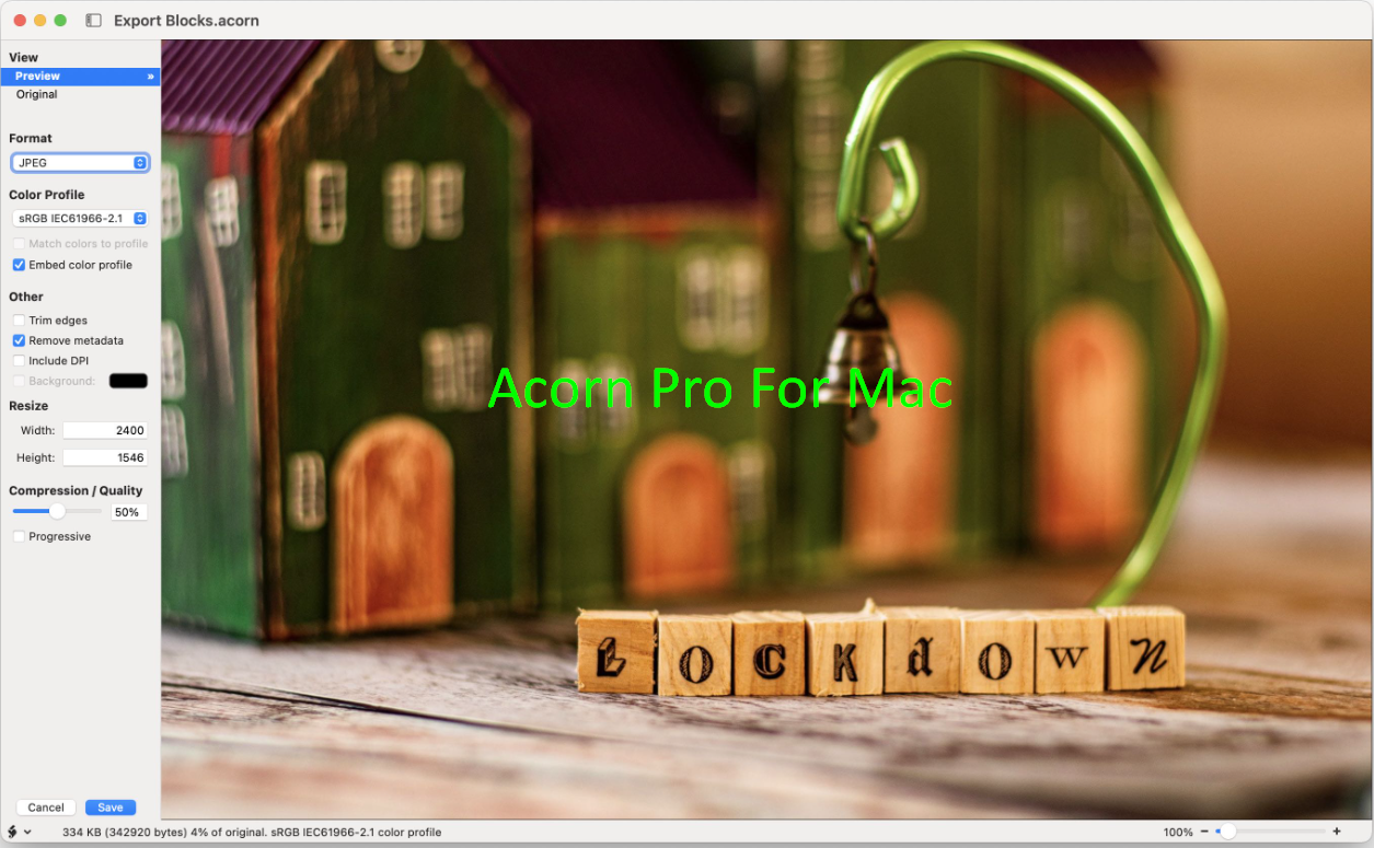 Download Acorn Pro For Mac Full Version