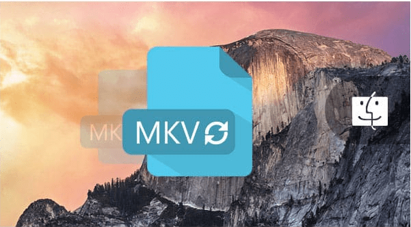 Aiseesoft MKV Converter For Mac
